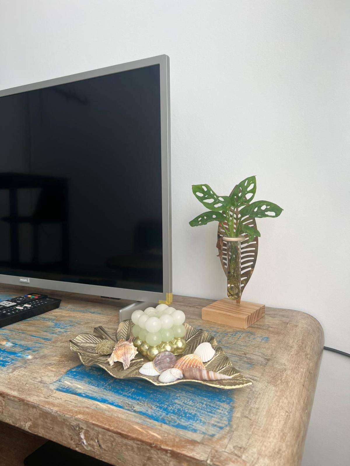 Tiny Beachhouse נורדוויק מראה חיצוני תמונה
